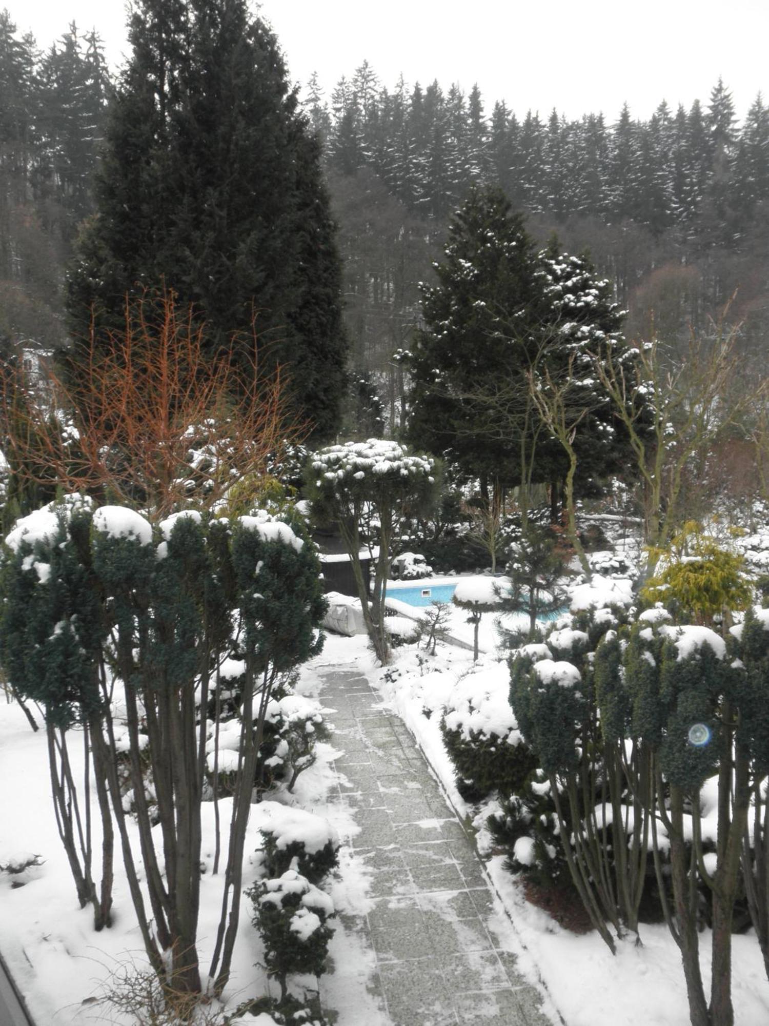 Pension U Kaktusu Karlovy Vary Exterior foto