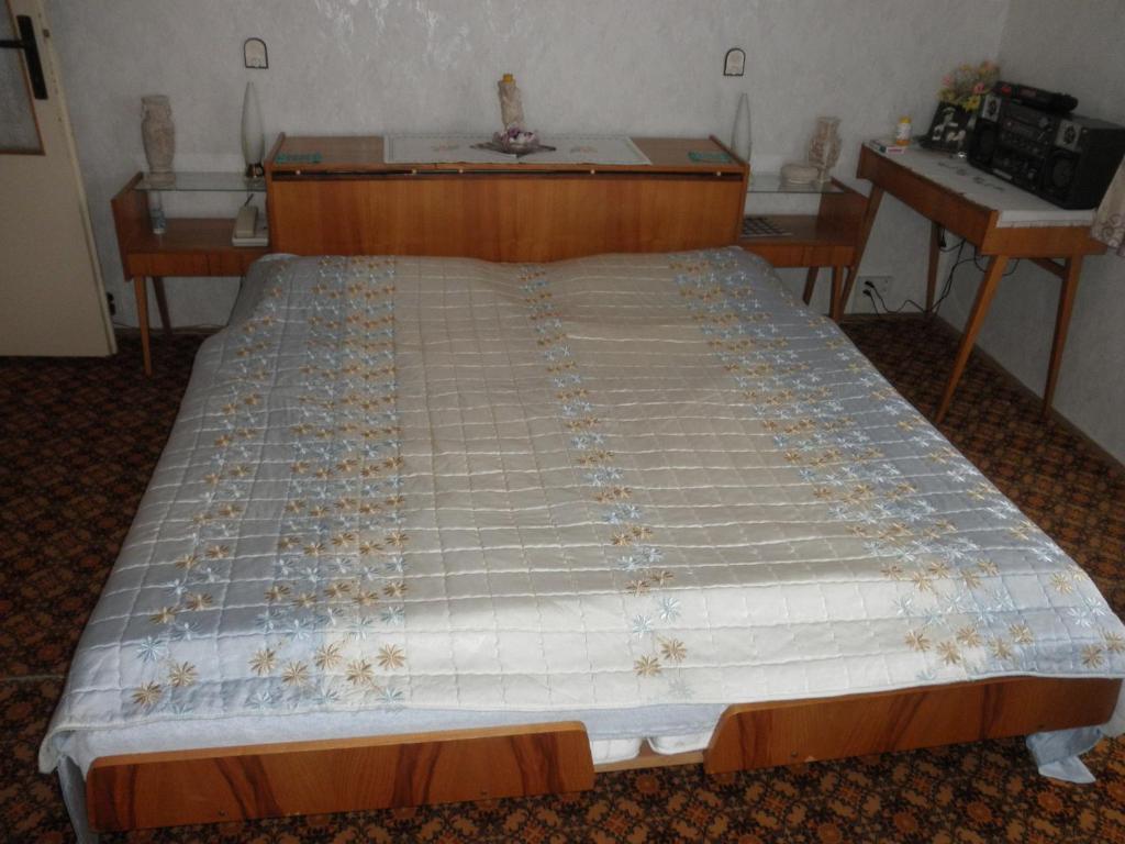 Pension U Kaktusu Karlovy Vary Cameră foto