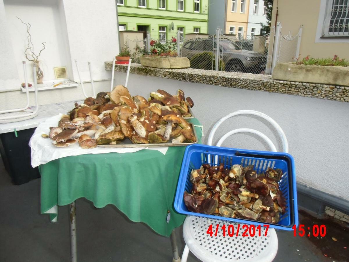 Pension U Kaktusu Karlovy Vary Exterior foto